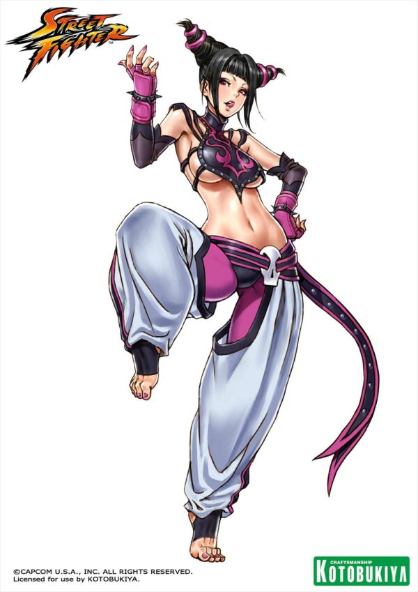 Street Fighter Juri Han Bishoujo Statue Illustration by Shunya Yamashita